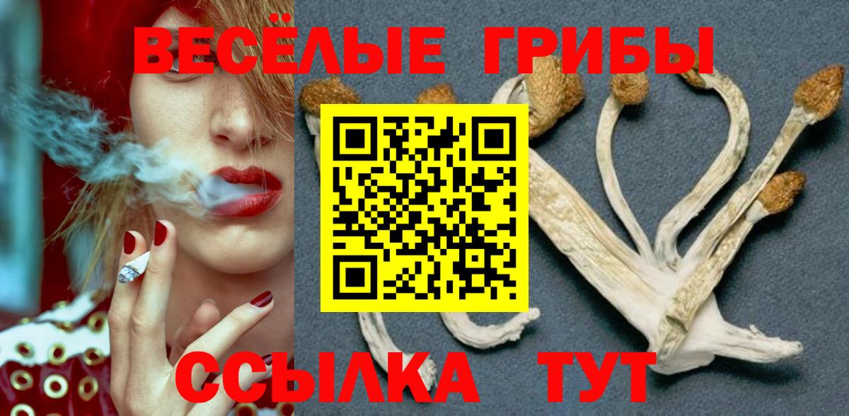 Псилоцибиновые грибы Cubensis  Вход с VPN  Котлас 