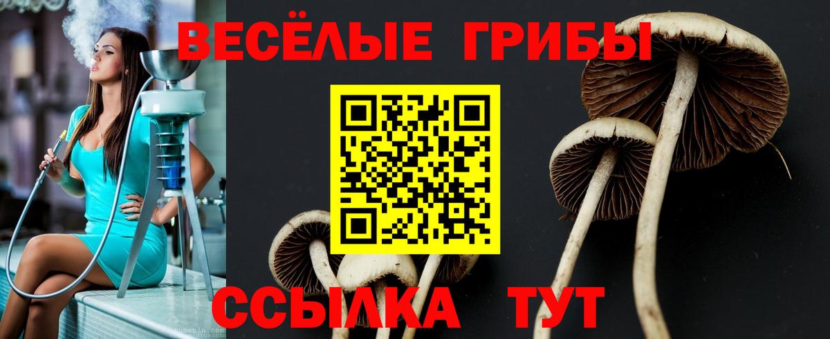 Галлюциногенные грибы ЛСД Котлас